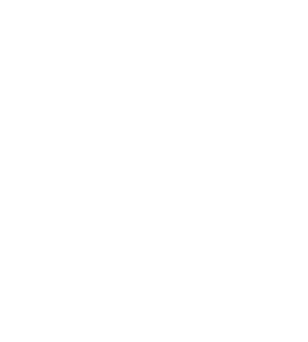 RISEMIO